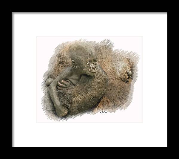 Gorilla Framed Print featuring the digital art Mother's Milk by Larry Linton