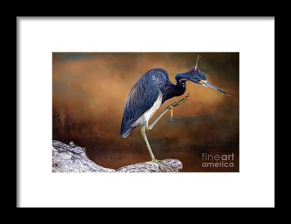 Birds Framed Print featuring the photograph Gotta Scratch That Itch by DB Hayes