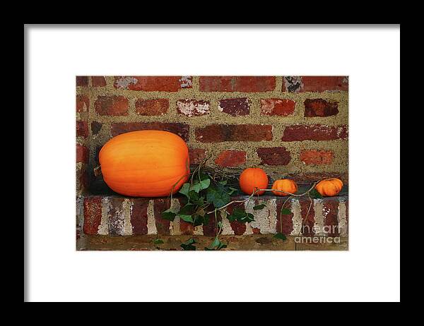  Framed Print featuring the photograph Gourds On A Window Sill by Christiane Schulze Art And Photography