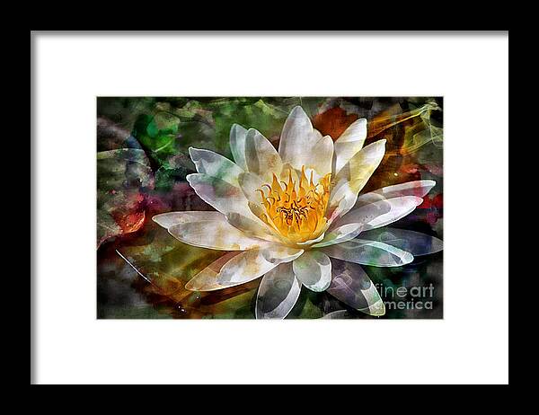 Magical Framed Print featuring the photograph Grace by Clare Bevan