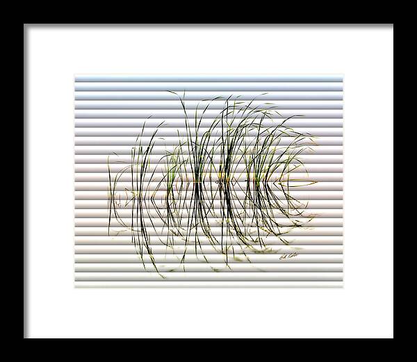 Bill Kesler Photography Framed Print featuring the photograph Graceful Grass - The Slat Collection by Bill Kesler