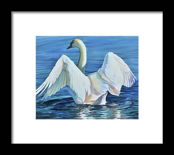 #swan #wings #wing #blue #mute #spread #water #lakes #lake #nature #landscape #naturally #wildlife #life #inspiring #waters #landscapes Framed Print featuring the painting Graceful Warning by Stella Marin