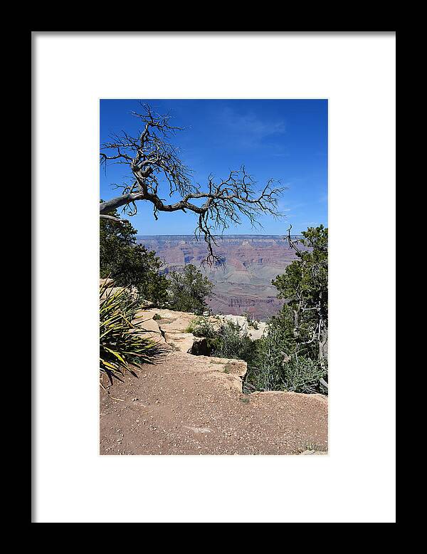 Grand Canyon Framed Print featuring the photograph Grand Canyon 2 by Aimee L Maher ALM GALLERY