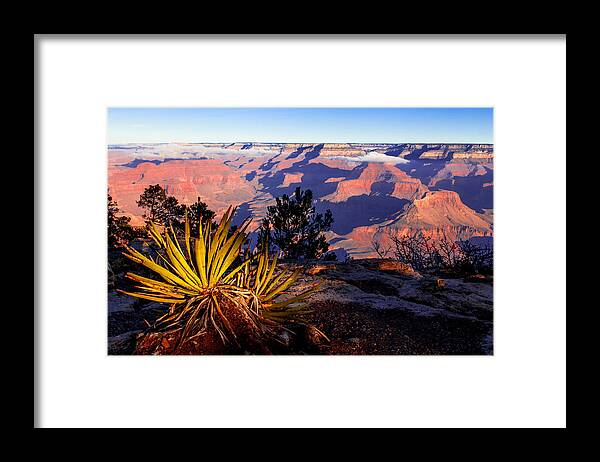 Grand Canyon National Park Framed Print featuring the photograph Grand Canyon 31 by Donna Corless