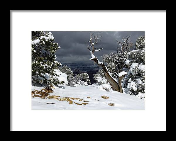 Storm Framed Print featuring the photograph Grand Canyon Winter by Laurel Powell