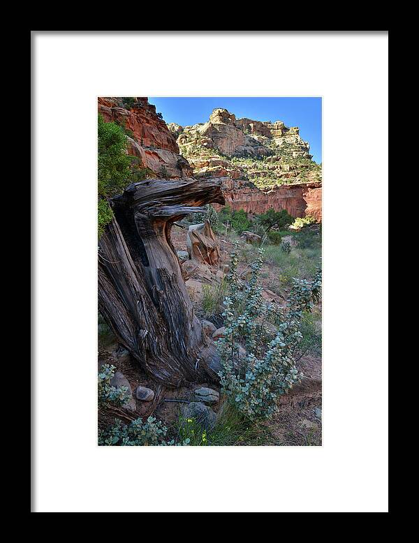 Capitol Reef National Park Framed Print featuring the photograph Grand Wash Butte by Ray Mathis