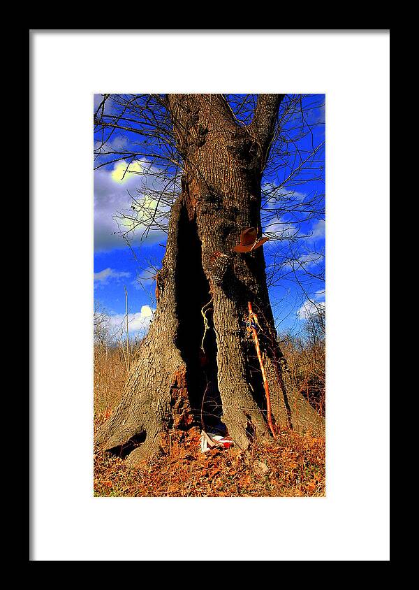 Digital Photography Framed Print featuring the photograph Grandfather Tree by Kicking Bear Productions