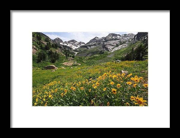 Landscape Framed Print featuring the photograph Grandmothers Meadow - Broads Fork by Brett Pelletier