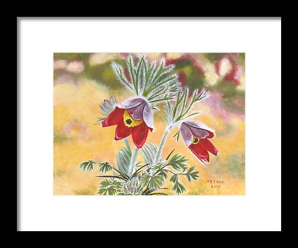 Pulsatilla Koreana Framed Print featuring the painting Granny flowers by Helian Cornwell