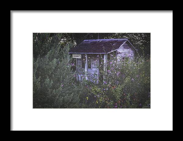 House Framed Print featuring the photograph Granny's Garden House by Leticia Latocki