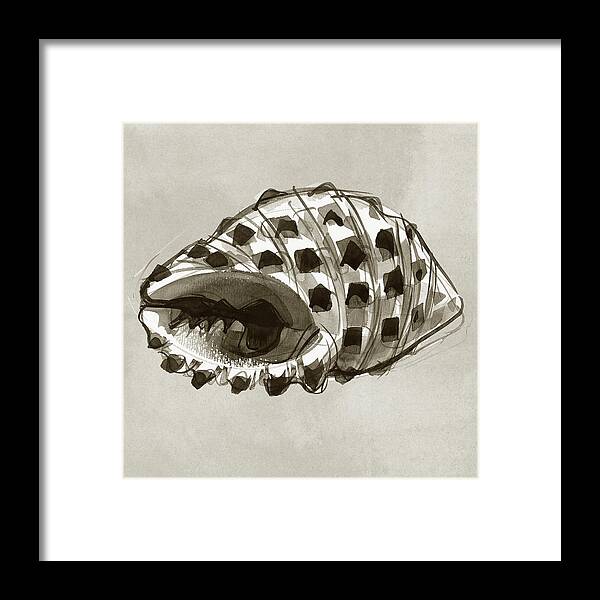 Seashell Framed Print featuring the painting Grape Drupe by Judith Kunzle