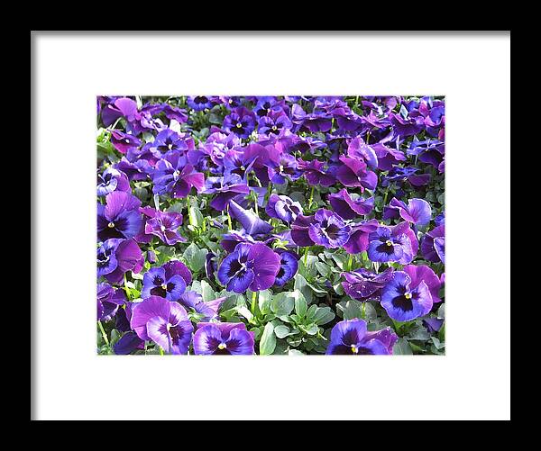 Grape Jelly Framed Print featuring the photograph Grape Jelly by Elizabeth Sullivan