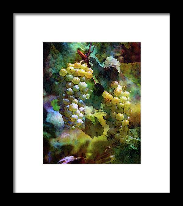Grape Framed Print featuring the photograph Grape Prism 2739 IDP_2 by Steven Ward