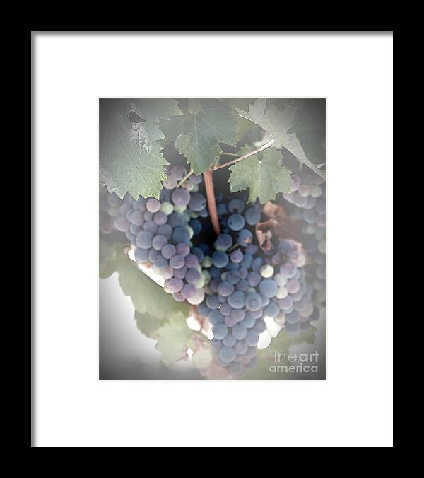 Grapes Framed Print featuring the digital art Grapes on the Vine I by Sherry Hallemeier