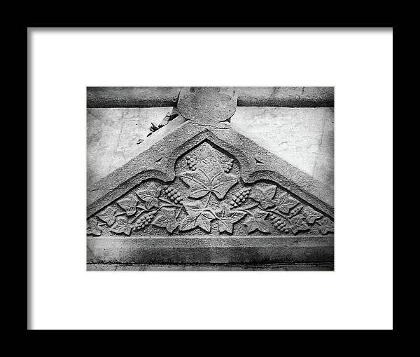 Ireland Framed Print featuring the photograph Grapevine Carving by Teresa Mucha