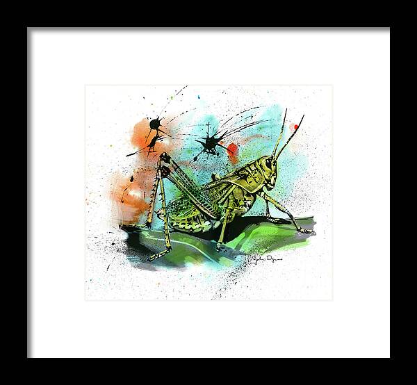 Insect Framed Print featuring the drawing Grasshopper by John Dyess