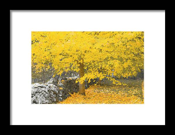 Fall. Maine Framed Print featuring the photograph Gravitational Inevitability by Jeff Cooper