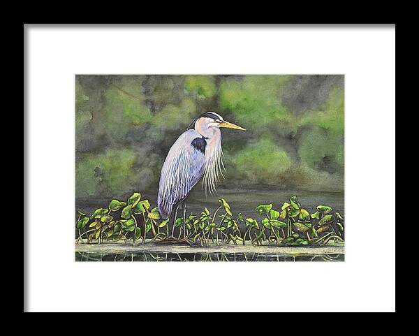 Great Blue Heron Framed Print featuring the painting Great Blue Heron on Lily Pad by Laurie Tietjen