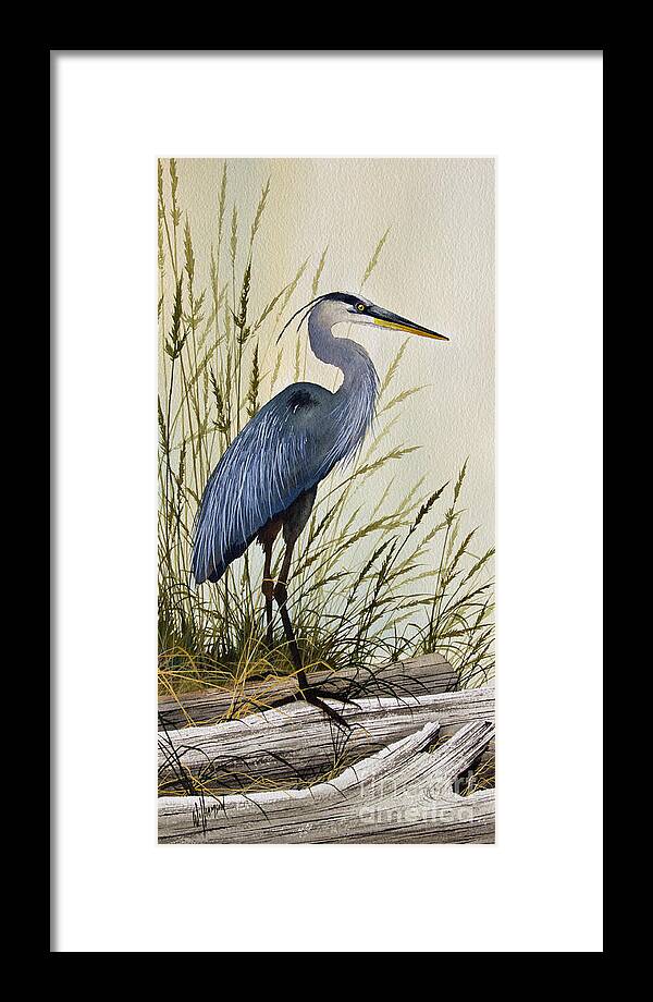 Great Blue Heron Framed Print featuring the painting Great Blue Heron Splendor by James Williamson