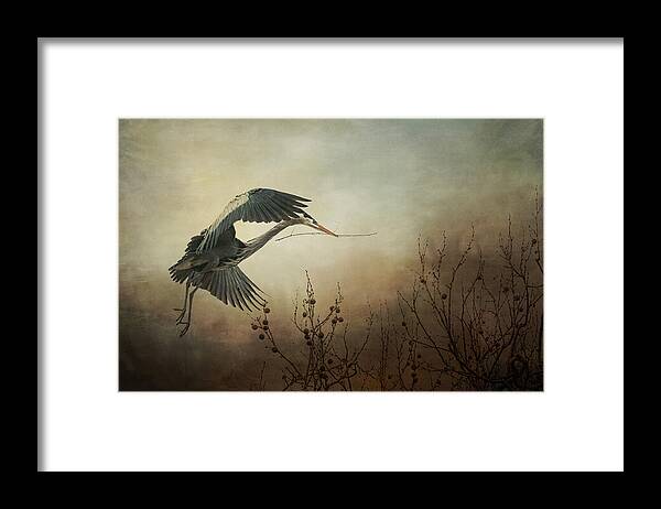 Ardea Herodias Framed Print featuring the photograph Great Blue Heron - Textured Photograph by SharaLee Art