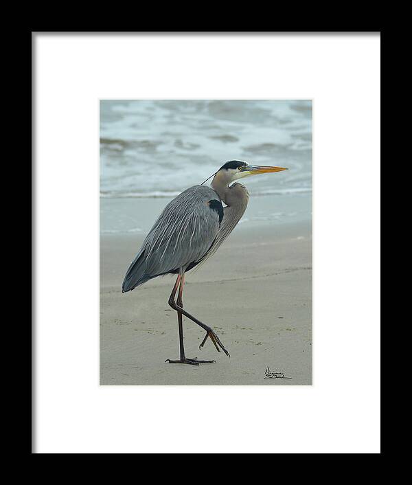 Ocean Scene Framed Print featuring the painting Great Blue Heron by Virginia Bond