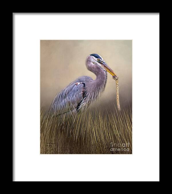 Herons Framed Print featuring the photograph Great Blue Heron With Lunch by DB Hayes