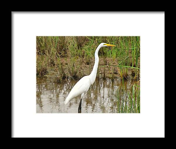 Great Framed Print featuring the painting Great Egret by Maciek Froncisz