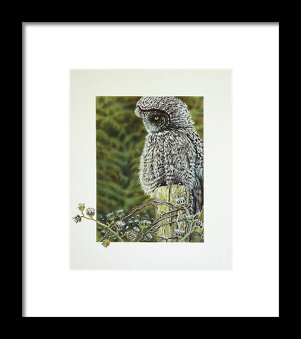 Owl Framed Print featuring the painting Great Grey Owl by Greg and Linda Halom