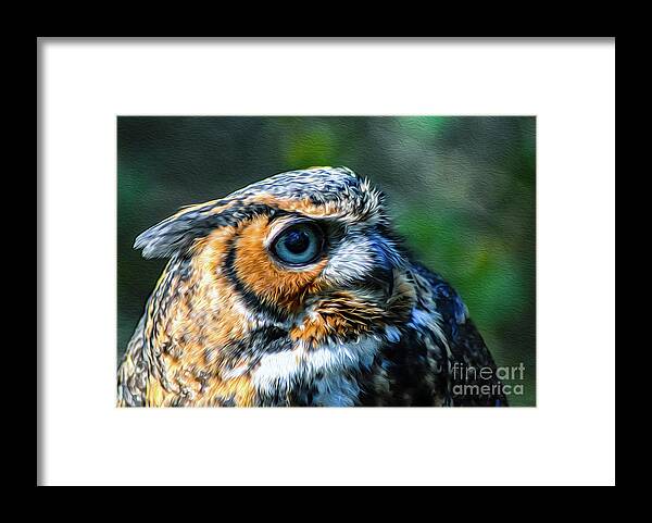 Nature Framed Print featuring the photograph Great Horned Owl - Bubo Virginianus by DB Hayes