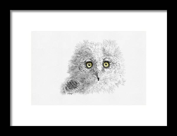 Owl Framed Print featuring the digital art Great Horned Owlet by Kathie Miller