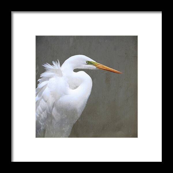 Bird Framed Print featuring the photograph Great White Egret by Karen Lynch