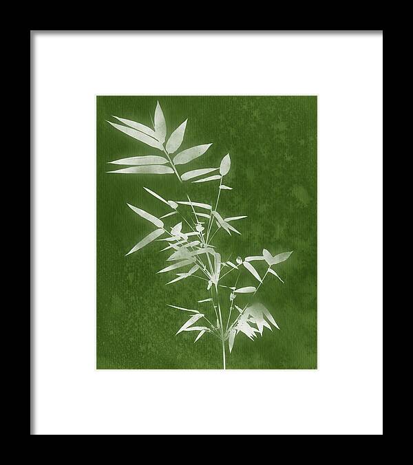 Bamboo Framed Print featuring the mixed media Green Bamboo 3- Art by Linda Woods by Linda Woods