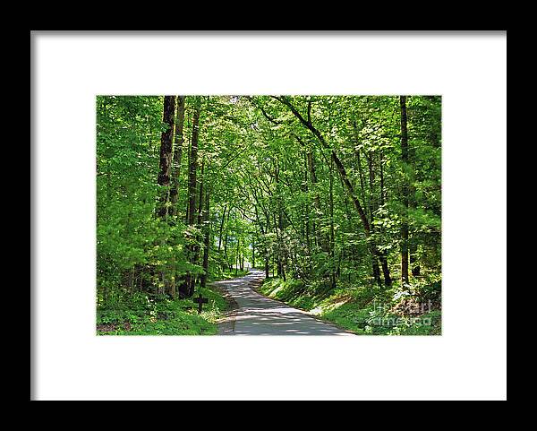 Woods Framed Print featuring the photograph Green Beauty In The Cove by Lydia Holly