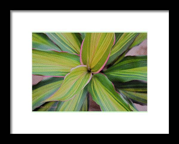 Ornamental Plant Framed Print featuring the digital art Green Blades by Sonali Gangane