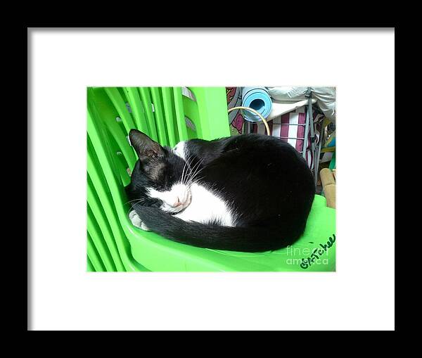 Green Framed Print featuring the photograph Green Chair Sleeping by Sukalya Chearanantana