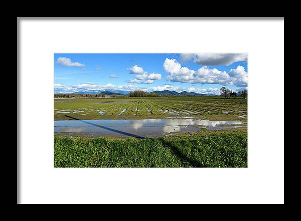 Green Field And Reflecting Clouds Framed Print featuring the photograph Green Field and Reflecting Clouds by Tom Cochran