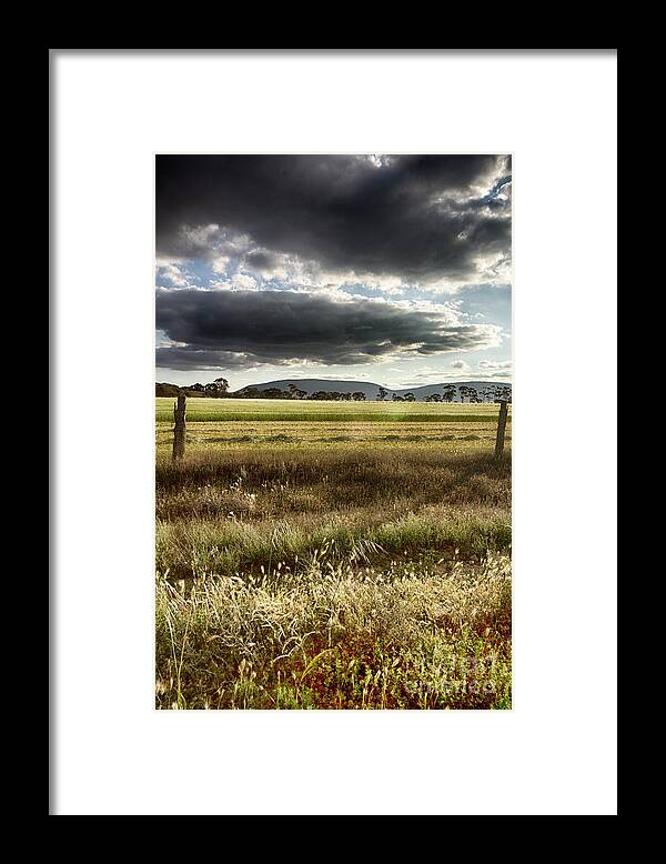 Green Framed Print featuring the photograph Green Fields 6 by Douglas Barnard