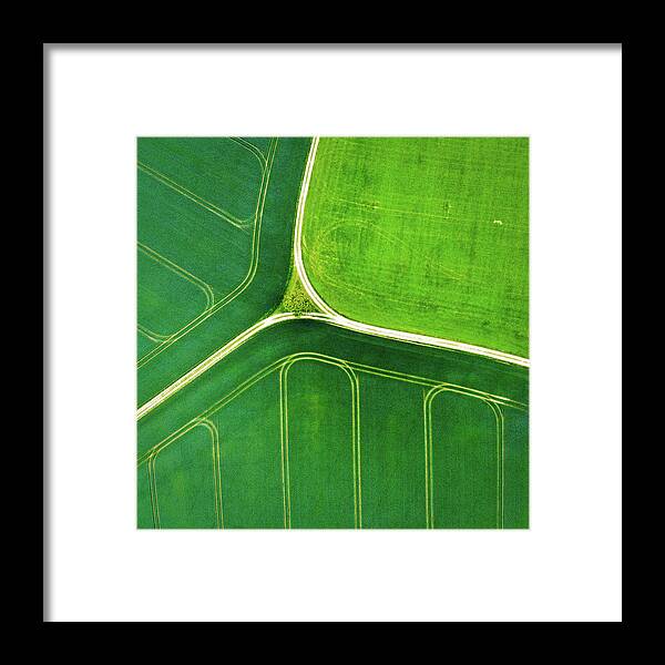 Green Framed Print featuring the photograph Green geometric nature with lines aerial view by Matthias Hauser