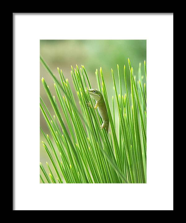 Nature Framed Print featuring the photograph Green is Good by Peggy Urban
