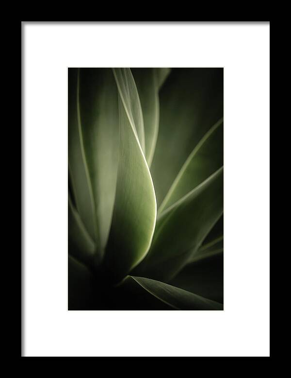 Abstract Framed Print featuring the photograph Green Leaves Abstract by Marco Oliveira
