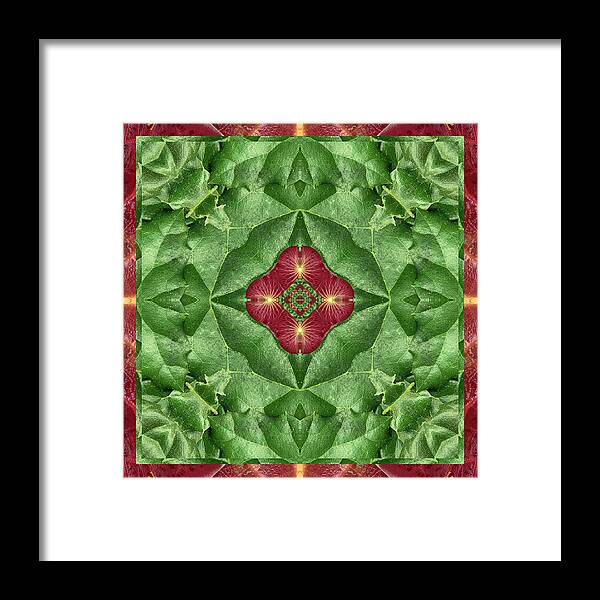 Mandalas Framed Print featuring the photograph Green Machine by Bell And Todd