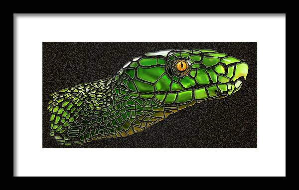 Snake Framed Print featuring the digital art Green Mamba Snake by Michael Cleere
