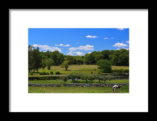 Farm Framed Print featuring the photograph Green Pastures by Tammie Miller
