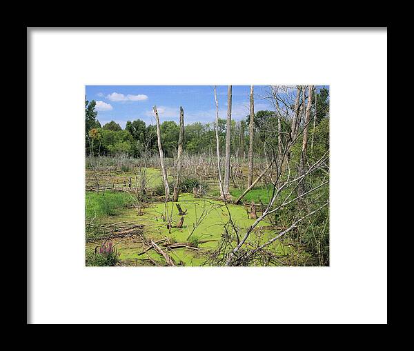 Landscape Framed Print featuring the photograph Green Pea Soup by Robert Pearson