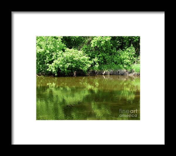 Water Framed Print featuring the photograph Green Peace by Paula Joy Welter