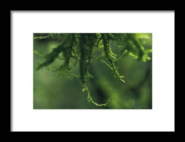 Macro Framed Print featuring the photograph FlavorOfTheMonth by Gene Garnace