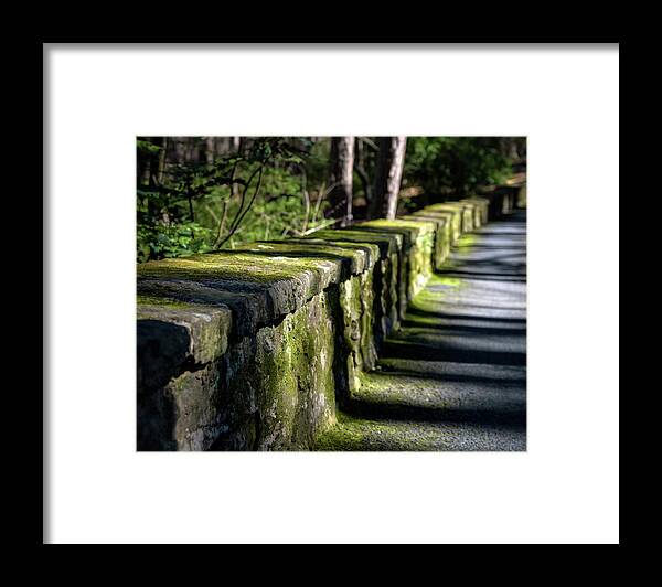 Stone Wall Framed Print featuring the photograph Green Stone Wall by James Barber