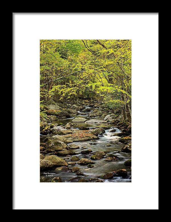 Greenbrier In Great Smoky National Park Framed Print featuring the photograph Greenbrier by Peg Runyan
