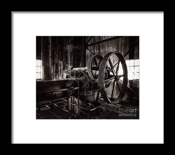 Plant Framed Print featuring the photograph Grinding the Nest Egg by Royce Howland