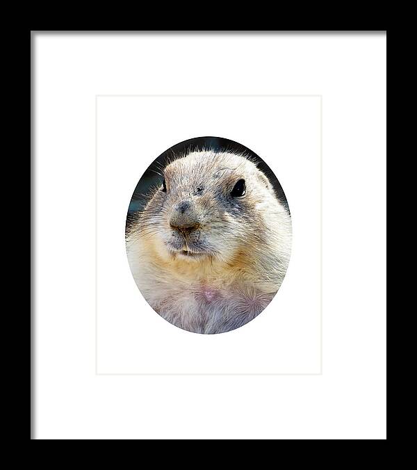Animal Framed Print featuring the photograph Ground Squirrel Portrait by Laurel Powell